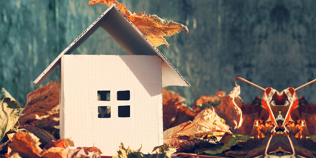 Is your Home protected for the Fall?